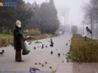 Мороз до -12 градусов нагрянет в Волгоградскую область 24 ноября