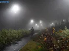 Две спокойные ночи подряд провели волгоградцы
