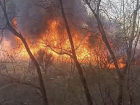 Крупный пожар вспыхнул на юге Волгограда