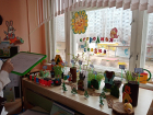 Карантин ввели в детском саду Волгограда, где воспитанник попал в реанимацию