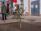Волгоградцев лишили долгих выходных в феврале и в марте 