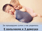 "Королевская двойня" родилась на свет в перинатальном центре в Волгограде