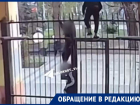 Прорываются через калитку и оставляют лужи: «писающие мальчики» оккупировали двор в центре Волгограда 