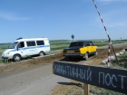 Вирус чумы свиней снова обнаружили в Волгоградской области
