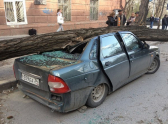 Фото: "Типичный Волгоград"