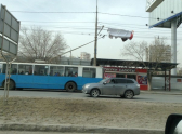 Фото: "Жесть Волгограда"