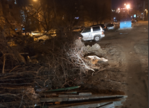 Жители Волгограда боятся спать из-за пожароопасной свалки во дворе 