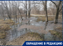 "Вонь стоит в радиусе 300 метров": фекалии третий месяц извергаются в Волгограде