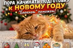 Если хотите идеальный Новый год, начинайте подготовку уже сейчас