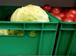 В Волгограде резко подскочила в цене капуста