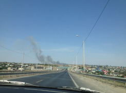 В интернете появились фотографии крупных пожаров под Волгоградом