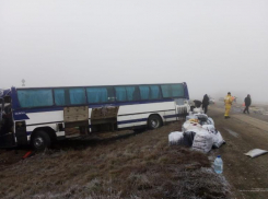 Свыше 50 иностранцев из столкнувшегося с КАМАЗом автобуса под Волгоградом разместили в местном ФОКе