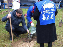 После ночных «пересчетов» голосов в Волгограде побеждает «Единая Россия»