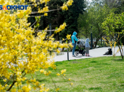 Только четыре района остались не тронутыми коронавирусной инфекцией в Волгоградской области