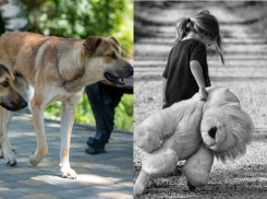 В Волгограде умерла зараженная бешенством 8-летняя девочка