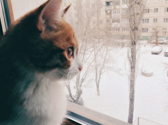 Снегом и морозом до -22ºС начинают волгоградцы неделю