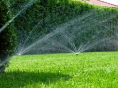 Газонам жителей Волгоградской области не дадут засохнуть