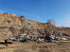 Волгоградский облсуд отказался смягчать приговор скандальной фирме-плиточнику