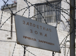 Компанию обвиняемым в страховом мошенничестве экс-депутатам Щуру, Звереву и Литвиненко составит безработный