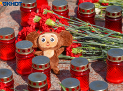 Превратить сгоревший «Крокус» в мемориал предложил волгоградский депутат