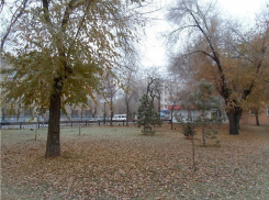 На Волгоград надвигаются дожди и похолодание до 0°С