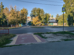 Это по-волгоградски: кривой итог работы высокооплачиваемых специалистов показали наглядно