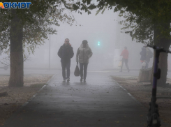 Предшторм и мощный дождь обрушатся на Волгоградскую область
