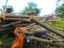 КамАЗ улетел с моста в Волгограде: водитель чудом остался жив