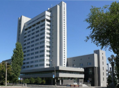 Туи и барбарис вырастут за полмиллиона рублей рядом с политехом в Волгограде