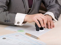 В Волгоградской области махинации директора «Перспективы» оставили бюджет без перспективы