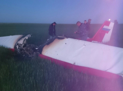 Стали известны обстоятельства крушения самолета под Волгоградом