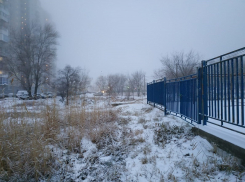 Синоптики рассказали волгоградцам, будет ли на выходных снег