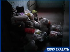 «Тараканы и черви в подъезде»: горы отходов скопились в 7-этажке Волгограда за месяц с забитым мусоропроводом