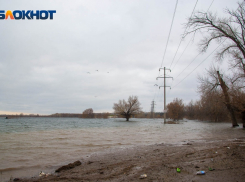 Рыбак выловил труп мужчины в Камышине