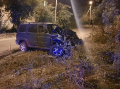 В Камышине УАЗ врезался в дерево: трое в больнице