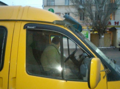В Волгограде водитель маршрутки вытолкал пассажирку, требуя платить за ребенка