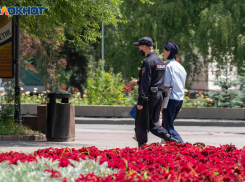 Волгоградцам пригрозили тюрьмой за покупку справок о вакцинации от COVID-19