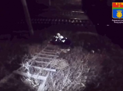 Операция по спасению рухнувшего с моста волгоградца попала на видео 
