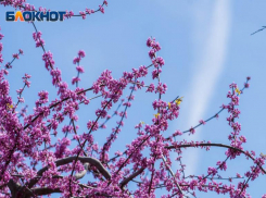 Почему 11 мая уникальный день, который нельзя пропускать, рассказала астролог