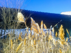 На распродаже цехов волгоградского завода покупателей привлек только туалет