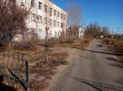 Спрашивали об отношении к геям: братья под видом блогеров проломили череп волгоградцу на глазах у жены
