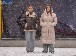 Резкое потепление придет в Волгоград после крещенских морозов 