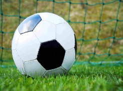  В малярных халатах придут волгоградские болельщики на матч «Ротора»