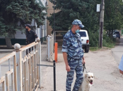 Суды Волгограда и области эвакуируют из-за угрозы взрыва