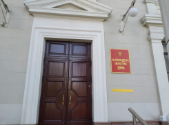 Волгоградцы завалили Облдуму требованиями отменить принятие закона о QR-кодах