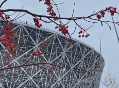 «Волгоград Арена» срочно наняла альпинистов для сбивания сосулек