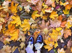 Холодным и солнечным будет предпоследний выходной октября в Волгоградской области