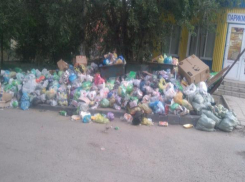 Площадку у Центра здоровья для детей на севере Волгограда завалило мусором