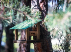 В Волгоградскую область пришли первые морозы