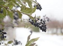 Мокрый снег застал волгоградцев врасплох